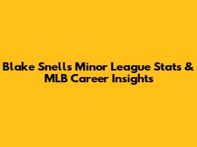 Blake Snell's Minor League Stats & MLB Career Insights